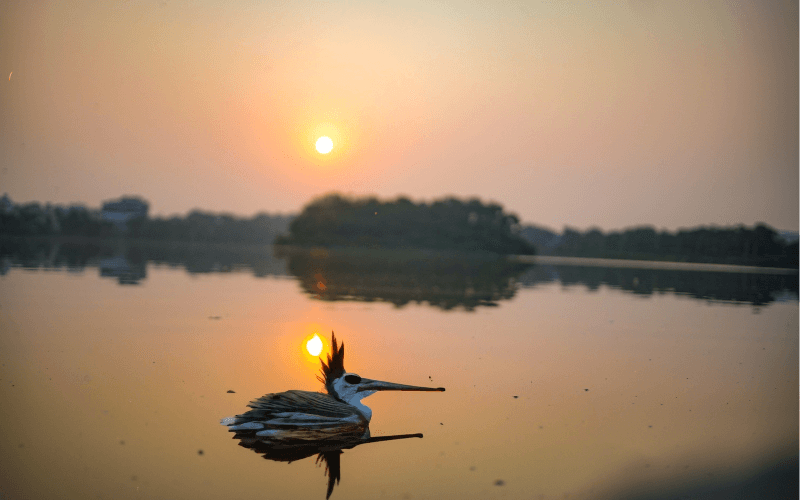 Appa Lake