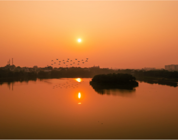 ಕೆರೆಯ ನೋಟ